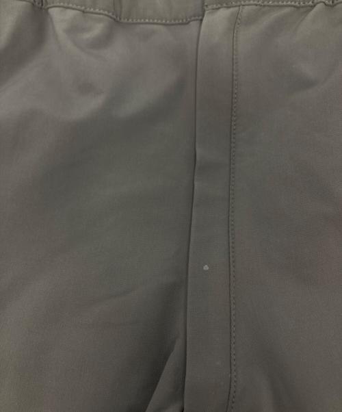 THE NORTH FACE（ザ ノース フェイス）THE NORTH FACE (ザ ノース フェイス) アルパイン ライト パンツ/NB32301 ブラウン サイズ:Lの古着・服飾アイテム