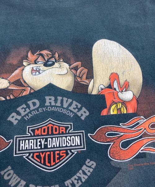 HARLEY-DAVIDSON（ハーレーダビッドソン）HARLEY-DAVIDSON (ハーレーダビッドソン) プリントTシャツ ブラック サイズ:XLの古着・服飾アイテム