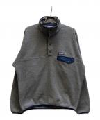 Patagoniaパタゴニア）の古着「シンチラ スナップ T プルオーバー/25580FA19」｜グレー