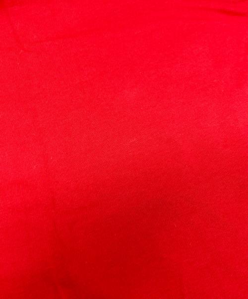 THE NORTH FACE（ザ ノース フェイス）THE NORTH FACE (ザ ノース フェイス) Supreme (シュプリーム) Printed Pocket Tee レッド サイズ:Mの古着・服飾アイテム