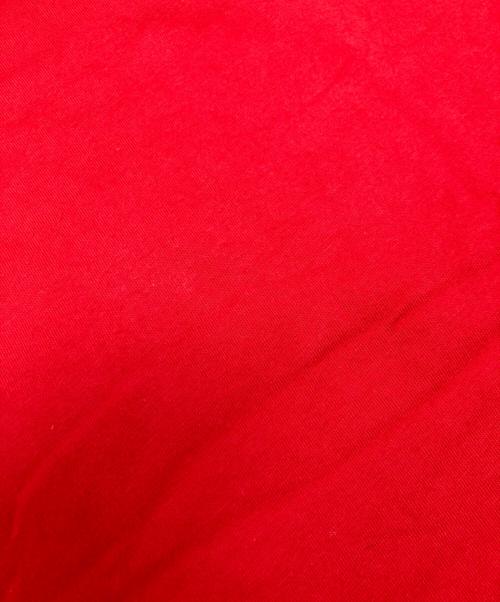 THE NORTH FACE（ザ ノース フェイス）THE NORTH FACE (ザ ノース フェイス) Supreme (シュプリーム) Printed Pocket Tee レッド サイズ:Mの古着・服飾アイテム