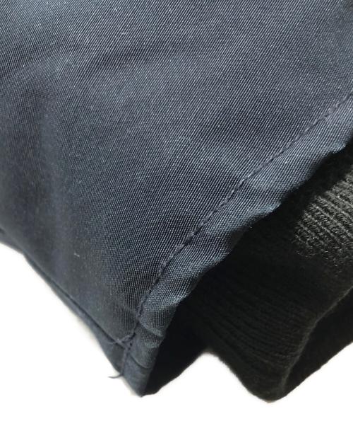 DANTON（ダントン）DANTON (ダントン) タッサーラクーンファーダウンジャケット/19A-FA-002 ネイビー サイズ:38の古着・服飾アイテム