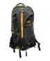 ARC'TERYX（アークテリクス）の古着「ARRO 22 WOODLAND/25361-116633」｜ブラック