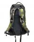ARC'TERYX (アークテリクス) ARRO 22 WOODLAND/25361-116633 ブラック サイズ:₋：18000円