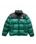 THE NORTH FACE（ザ ノース フェイス）の古着「ヌプシジャケット/ND52402I」｜グリーン