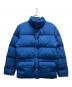 THE NORTH FACE（ザ ノース フェイス）の古着「ダウンジャケット」｜ブルー