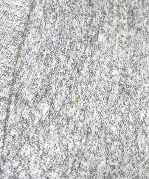 Champion（チャンピオン）Champion (チャンピオン) 80’s染込みプリントTシャツ グレー サイズ:XLの古着・服飾アイテム