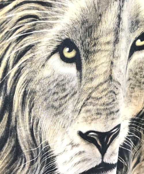 LIQUID BLUE（リキッドブルー）LIQUID BLUE (リキッドブルー) アニマルTシャツ ベージュ サイズ:XLの古着・服飾アイテム