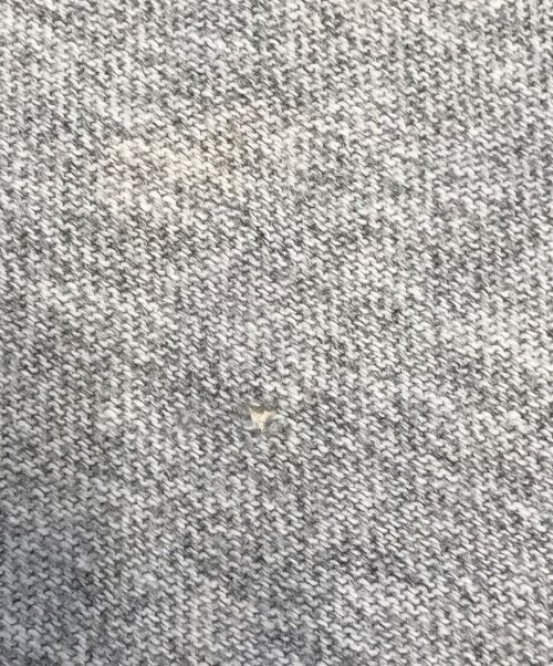 Champion（チャンピオン）Champion (チャンピオン) Tシャツ グレー サイズ:Lの古着・服飾アイテム