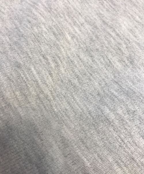 Champion（チャンピオン）Champion (チャンピオン) リバースウィーブスウェット グレー サイズ:XX-LARGEの古着・服飾アイテム