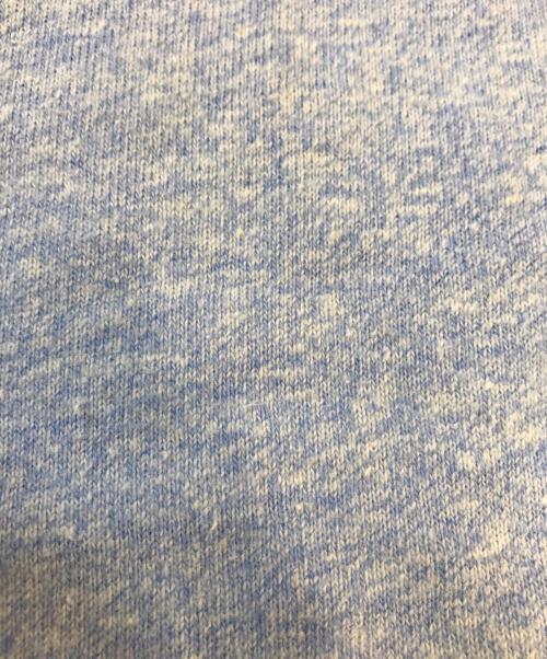 Champion（チャンピオン）Champion (チャンピオン) Tシャツ ブルー サイズ:Mの古着・服飾アイテム