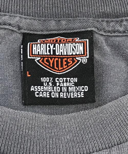 HARLEY-DAVIDSON（ハーレーダビッドソン）HARLEY-DAVIDSON (ハーレーダビッドソン) 袖プリントロングスリーブTシャツ グレー サイズ:Lの古着・服飾アイテム