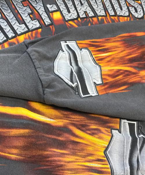 HARLEY-DAVIDSON（ハーレーダビッドソン）HARLEY-DAVIDSON (ハーレーダビッドソン) 袖プリントロングスリーブTシャツ グレー サイズ:Lの古着・服飾アイテム