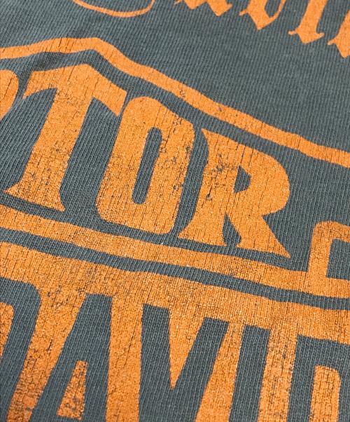 HARLEY-DAVIDSON（ハーレーダビッドソン）HARLEY-DAVIDSON (ハーレーダビッドソン) 袖プリントロングスリーブTシャツ グレー サイズ:Lの古着・服飾アイテム