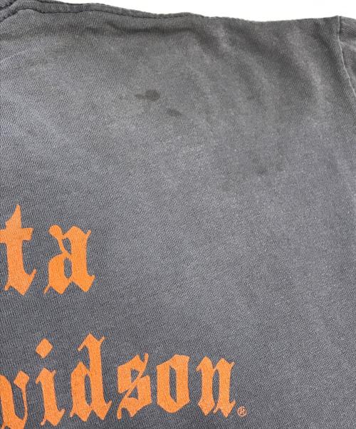 HARLEY-DAVIDSON（ハーレーダビッドソン）HARLEY-DAVIDSON (ハーレーダビッドソン) 袖プリントロングスリーブTシャツ グレー サイズ:Lの古着・服飾アイテム