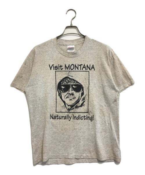 Hanes（ヘインズ）Hanes (ヘインズ) Tシャツ グレー サイズ:Mの古着・服飾アイテム