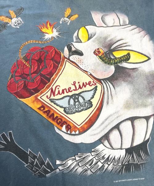 バンドTシャツ（バンドTシャツ）バンドTシャツ (バンドTシャツ) 90s AEROSMITH(エアロスミス) バンドTシャツ グレー サイズ:不明の古着・服飾アイテム