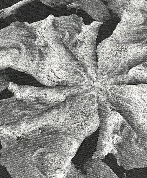 バンドTシャツ（バンドTシャツ）バンドTシャツ (バンドTシャツ) CREED(クリード) バンドTシャツ ブラック サイズ:Lの古着・服飾アイテム