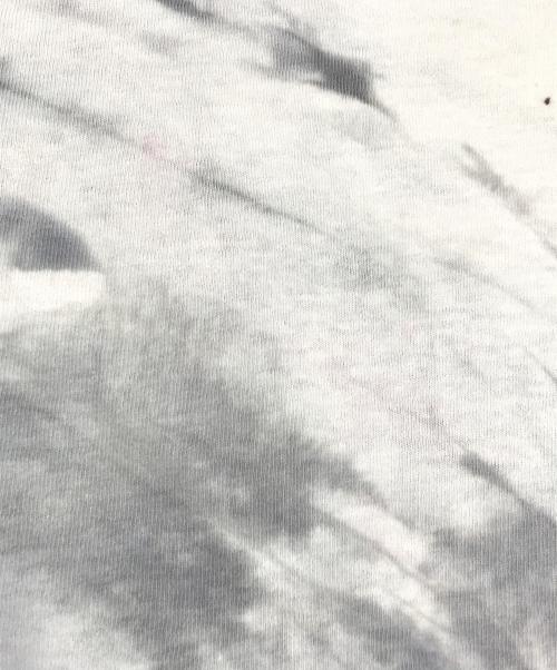 バンドTシャツ（バンドTシャツ）バンドTシャツ (バンドTシャツ) 90s LYNYRD SKYNYRD(レーナード・スキナード) バンドTシャツ グレー サイズ:XLの古着・服飾アイテム