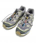 SALOMONサロモン）の古着「XT-6」｜グレー