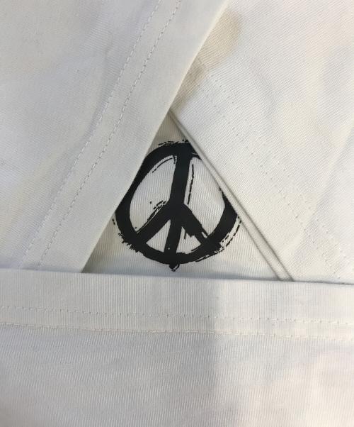 stussy（ステューシー）stussy (ステューシー) NIKE (ナイキ) Peace Love Swoosh T-shirt ホワイト サイズ:Mの古着・服飾アイテム