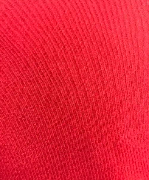 COMME des GARCONS HOMME（コムデギャルソン オム）COMME des GARCONS HOMME (コムデギャルソン オム) 長袖ポロシャツ レッド サイズ:表記なしの古着・服飾アイテム