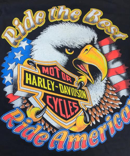 HARLEY-DAVIDSON（ハーレーダビッドソン）HARLEY-DAVIDSON (ハーレーダビッドソン) プリントTシャツ ブラック サイズ:Ｌの古着・服飾アイテム