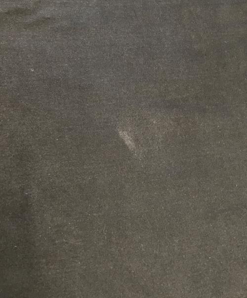 FRUIT OF THE LOOM（フルーツオブザルーム）FRUIT OF THE LOOM (フルーツオブザルーム) アートTシャツ ブラック サイズ:XLの古着・服飾アイテム