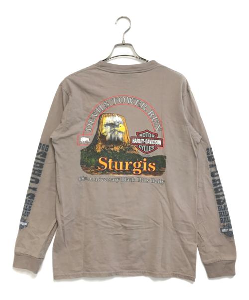 モーターサイクルロングスリーブTシャツ（モーターサイクルロングスリーブTシャツ）モーターサイクルロングスリーブTシャツ (モーターサイクルロングスリーブTシャツ) 00's HARLEY-DAVIDSON(ハーレーダビッドソン) モーターサイクルロングスリーブTシャツ グレー サイズ:Mの古着・服飾アイテム