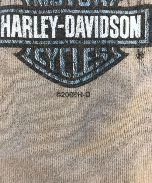 モーターサイクルロングスリーブTシャツ（モーターサイクルロングスリーブTシャツ）モーターサイクルロングスリーブTシャツ (モーターサイクルロングスリーブTシャツ) 00's HARLEY-DAVIDSON(ハーレーダビッドソン) モーターサイクルロングスリーブTシャツ グレー サイズ:Mの古着・服飾アイテム