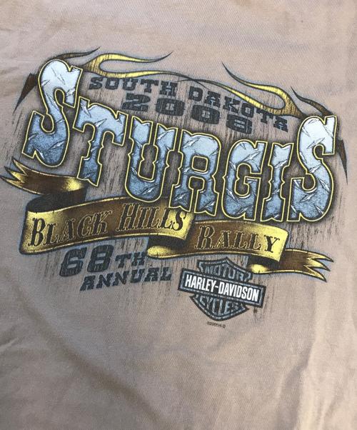 モーターサイクルロングスリーブTシャツ（モーターサイクルロングスリーブTシャツ）モーターサイクルロングスリーブTシャツ (モーターサイクルロングスリーブTシャツ) 00's HARLEY-DAVIDSON(ハーレーダビッドソン) モーターサイクルロングスリーブTシャツ グレー サイズ:Mの古着・服飾アイテム