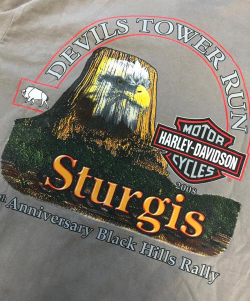 モーターサイクルロングスリーブTシャツ（モーターサイクルロングスリーブTシャツ）モーターサイクルロングスリーブTシャツ (モーターサイクルロングスリーブTシャツ) 00's HARLEY-DAVIDSON(ハーレーダビッドソン) モーターサイクルロングスリーブTシャツ グレー サイズ:Mの古着・服飾アイテム