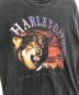 中古・古着 HARLEY-DAVIDSON (ハーレーダビッドソン) プリントTシャツ ブラック サイズ:L：9000円
