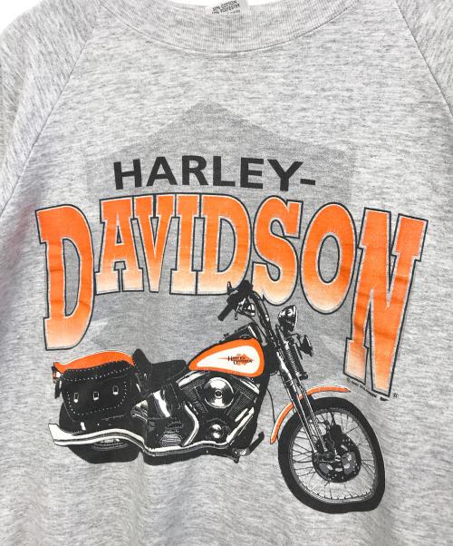 HOLOUBEK（ホロウベック）HOLOUBEK (ホロウベック) ラグランスウェット グレー サイズ:Lの古着・服飾アイテム