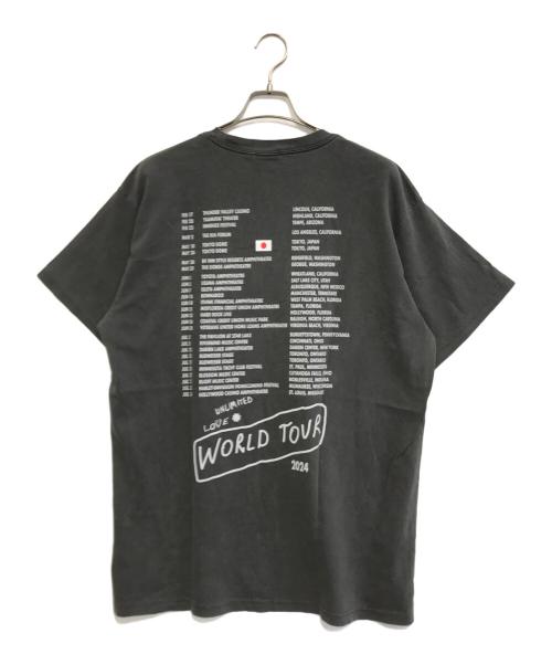 バンドTシャツ（バンドTシャツ）バンドTシャツ (バンドTシャツ) 24s RED HOT CHILI PEPPERS(レッドホットチリペッパーズ) バンドTシャツ ブラック サイズ:XLの古着・服飾アイテム