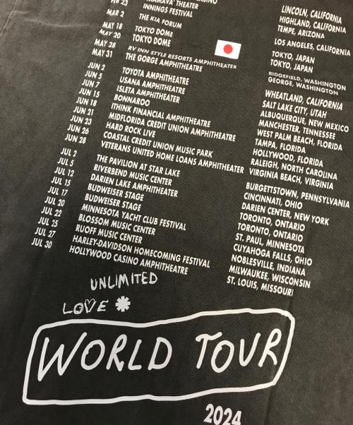 バンドTシャツ（バンドTシャツ）バンドTシャツ (バンドTシャツ) 24s RED HOT CHILI PEPPERS(レッドホットチリペッパーズ) バンドTシャツ ブラック サイズ:XLの古着・服飾アイテム