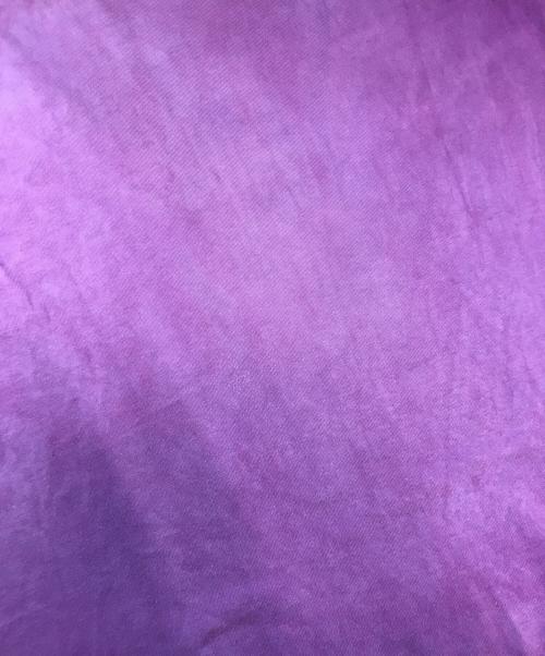 Hanes（ヘインズ）Hanes (ヘインズ) プリントTシャツ パープル サイズ:LARGEの古着・服飾アイテム