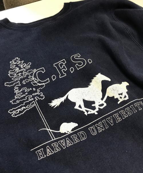 Champion（チャンピオン）Champion (チャンピオン) 90’sリバースウィーブスウェット ネイビー サイズ:XLの古着・服飾アイテム