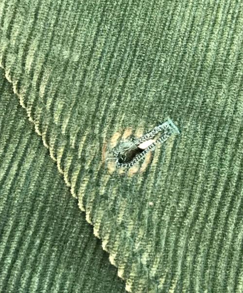 ALLEGE（アレッジ）ALLEGE (アレッジ) Corduroy Short Blouson グリーン サイズ:2の古着・服飾アイテム