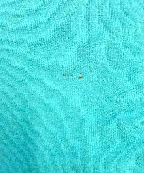 G&S（ゴードン＆スミス）G&S (ゴードン＆スミス) サーフTシャツ ティファニーブルー サイズ:Lの古着・服飾アイテム