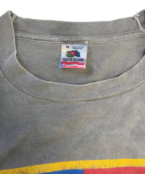 FRUIT OF THE LOOM（フルーツオブザルーム）FRUIT OF THE LOOM (フルーツオブザルーム) プリントTシャツ グレー サイズ:Mの古着・服飾アイテム