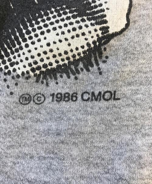 FRUIT OF THE LOOM（フルーツオブザルーム）FRUIT OF THE LOOM (フルーツオブザルーム) ラグランスウェット グレー サイズ:Lの古着・服飾アイテム