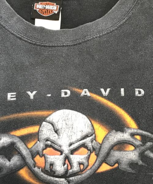 HARLEY-DAVIDSON（ハーレーダビッドソン）HARLEY-DAVIDSON (ハーレーダビッドソン) カットソー ブラック サイズ:Lの古着・服飾アイテム