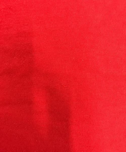 Champion（チャンピオン）Champion (チャンピオン) 80sダブルフェイスTシャツ レッド サイズ:Lの古着・服飾アイテム