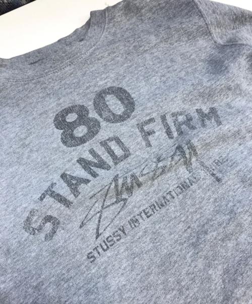 stussy（ステューシー）stussy (ステューシー) 染込みプリントTシャツ グレー サイズ:Lの古着・服飾アイテム