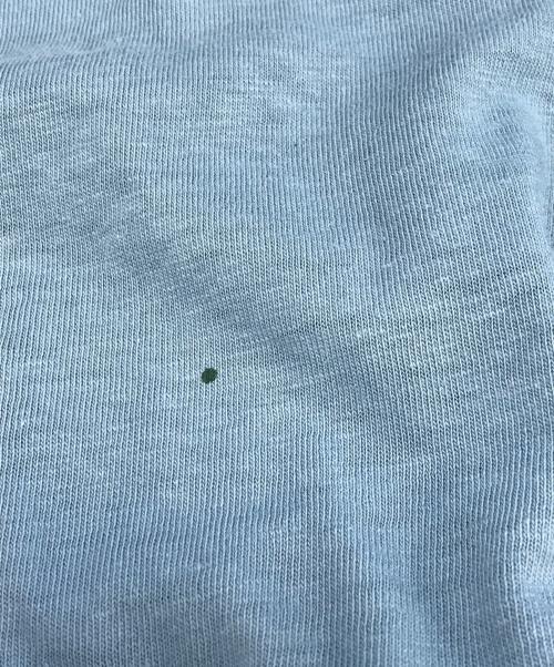 Ocean Pacific（オーシャンパシフィック）Ocean Pacific (オーシャンパシフィック) プリントTシャツ スカイブルー サイズ:XL　　　の古着・服飾アイテム