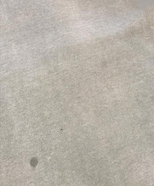 stussy（ステューシー）stussy (ステューシー) プリントTシャツ ベージュ サイズ:Mの古着・服飾アイテム