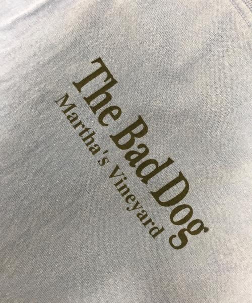 BOSTON（ボストン）BOSTON (ボストン) プリントTシャツ ブルー サイズ:XLの古着・服飾アイテム