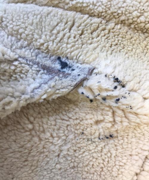 VINTAGE（ヴィンテージ）VINTAGE (ヴィンテージ) B-3タイプレザージャケット ブラウン サイズ:不明の古着・服飾アイテム