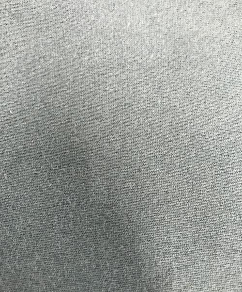 Champion（チャンピオン）Champion (チャンピオン) リバースウィーブスウェット グリーン サイズ:XX-LARGEの古着・服飾アイテム